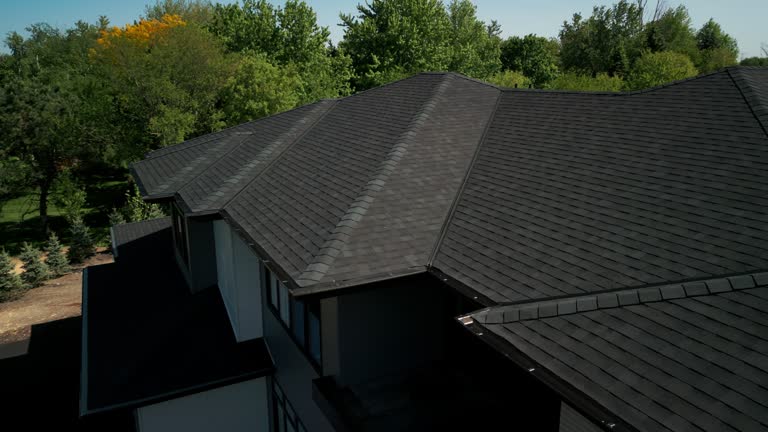 Best Chimney Flashing Repair  in Madison, MN